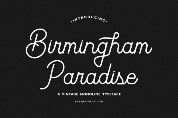 Birmingham Paradise: A Vintage Script Font for Handmade Brands