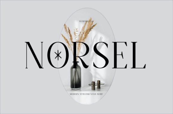 Norsel: A Bold, Retro Sans Serif Font for Small Business Branding